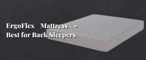 ErgoFlex Mattress – Best for Back Sleepers