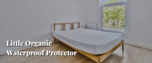 Little Organic Waterproof Protector