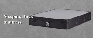 Sleeping Duck Mattress