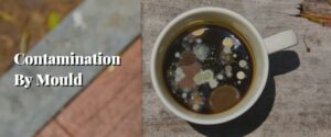 Contamination By Mould