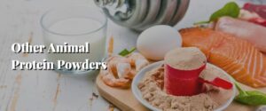 Other Animal Protein Powders
