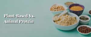 Plant-Based Vs. Animal Protein