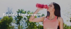 Regulates Blood Pressure