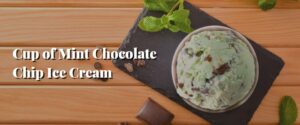 Cup of Mint Chocolate Chip Ice Cream
