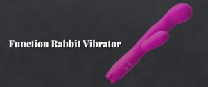 Function Rabbit Vibrator