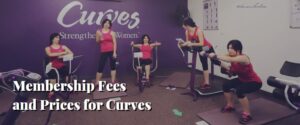 Membership Fees and Prices for Curves