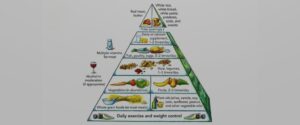 The New Food Guide Pyramid