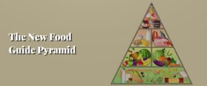 The New Food Guide Pyramid