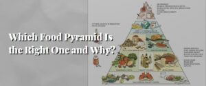 Which Food Pyramid Is the Right One and Why