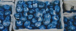 Blueberries in season