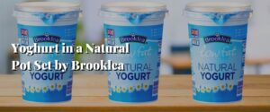Yoghurt in a Natural Pot Set by Brooklea